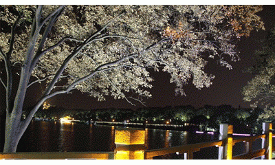 LED顯示屏P6像素點(diǎn)數(shù)點(diǎn)間距密度是多少產(chǎn)品優(yōu)點(diǎn)：